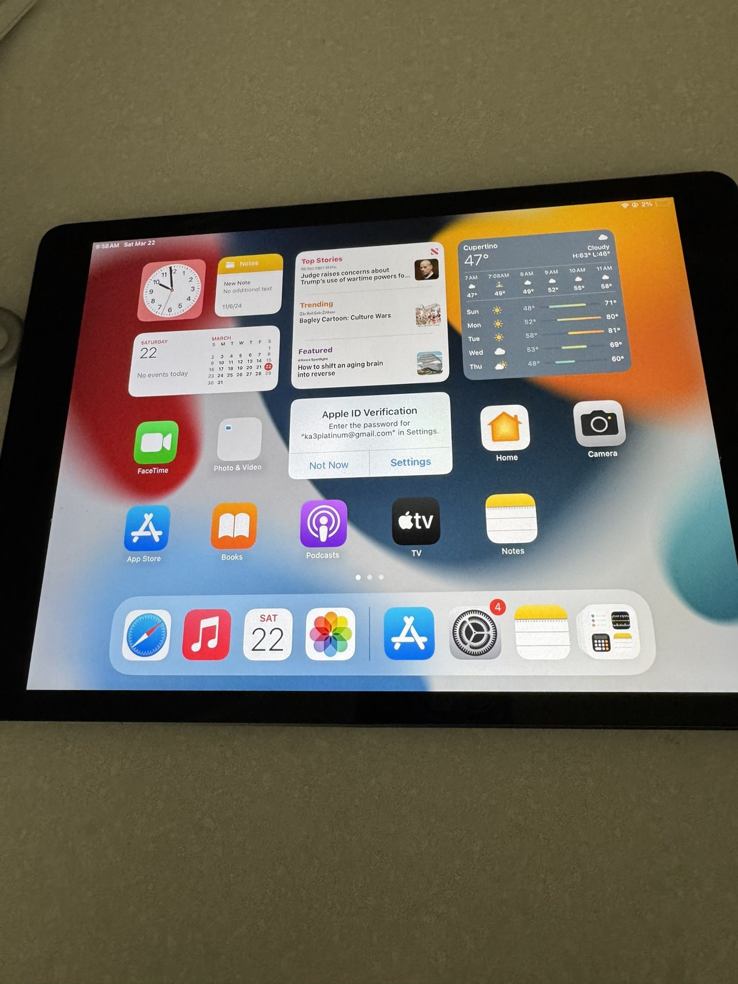 Apple Ipad 