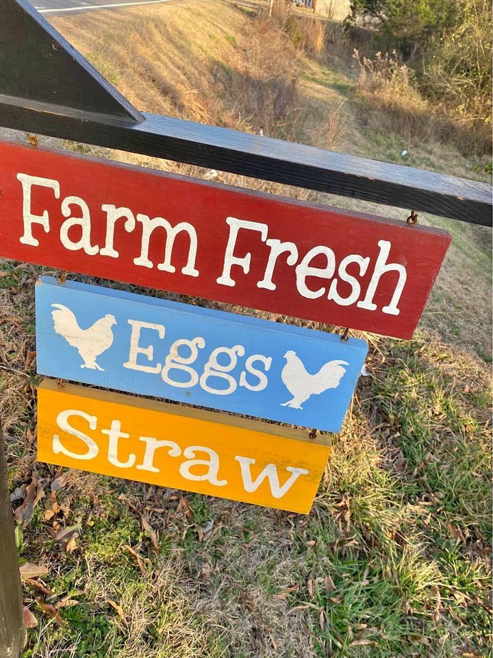 Eggs
