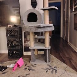 Cat Mansion 