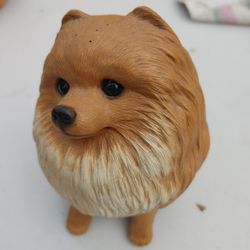Sandcast Pomeraniam