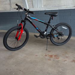 NEW Pacific Cavern Mountain Bike 20” Youth