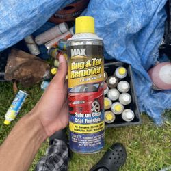 Bug & Tar Remover
