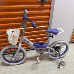 Trek Kids Bike