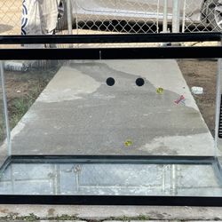 Fish  Tank
