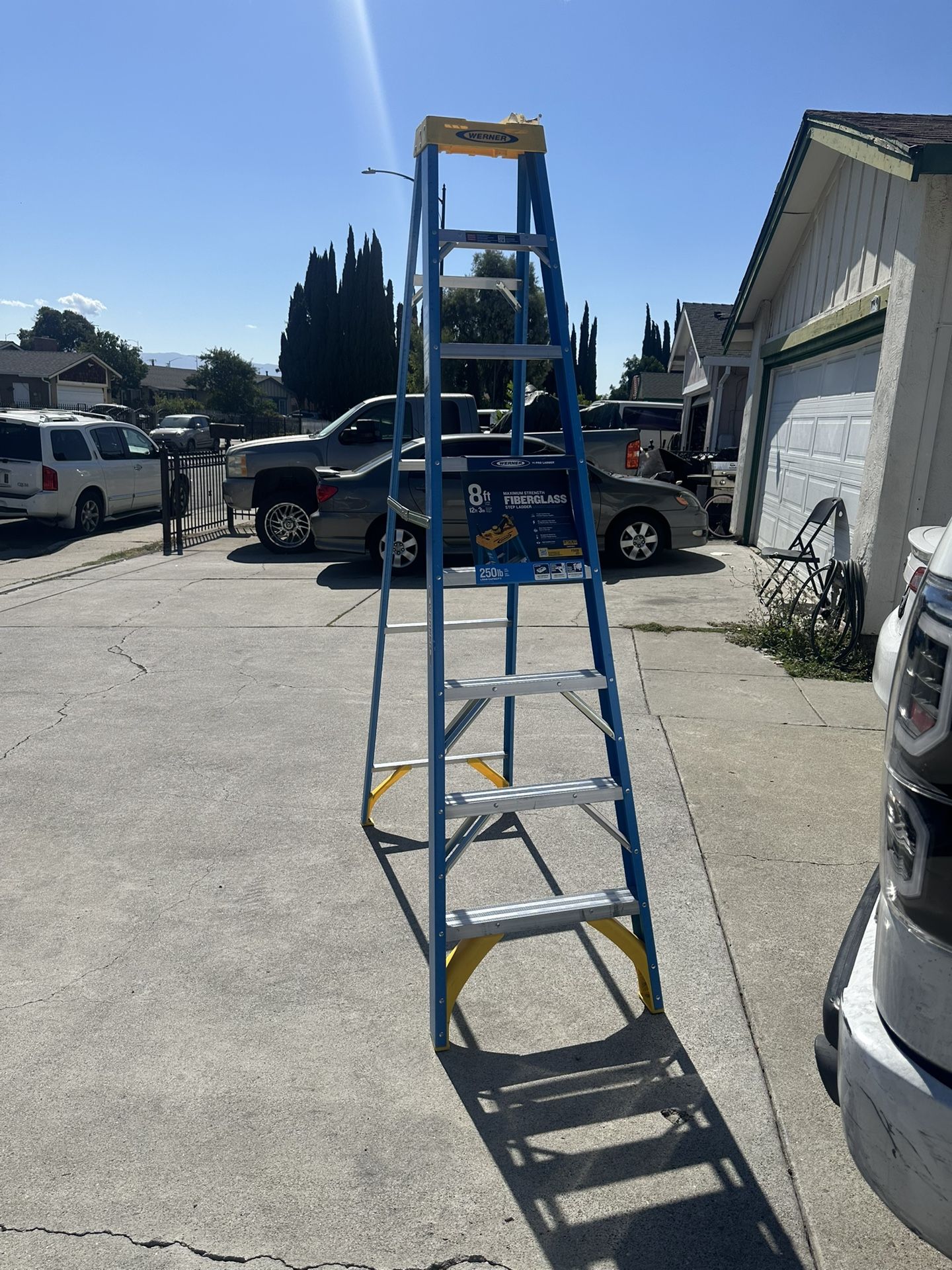 Werner 8 ft. Fiberglass Step Ladder (12 ft. Reach Height) with 250 lb. Load Capacity Type I Duty Rat