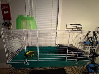 Guinea pig cages