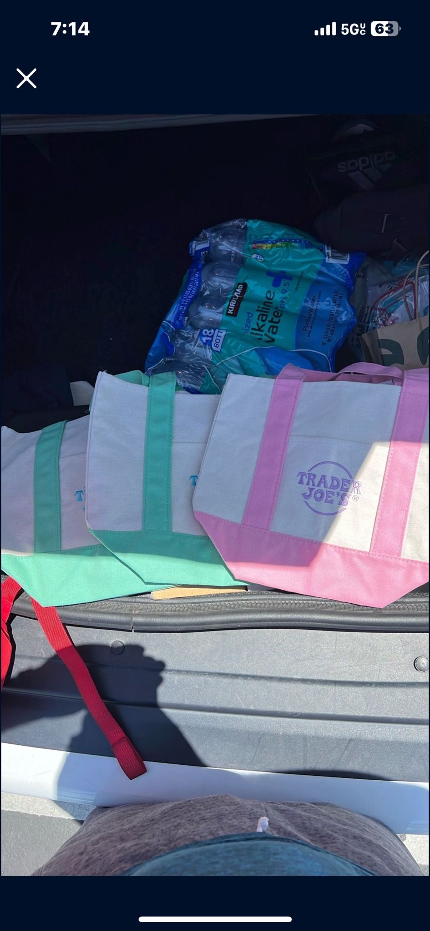 Traders Joes Mini Tote