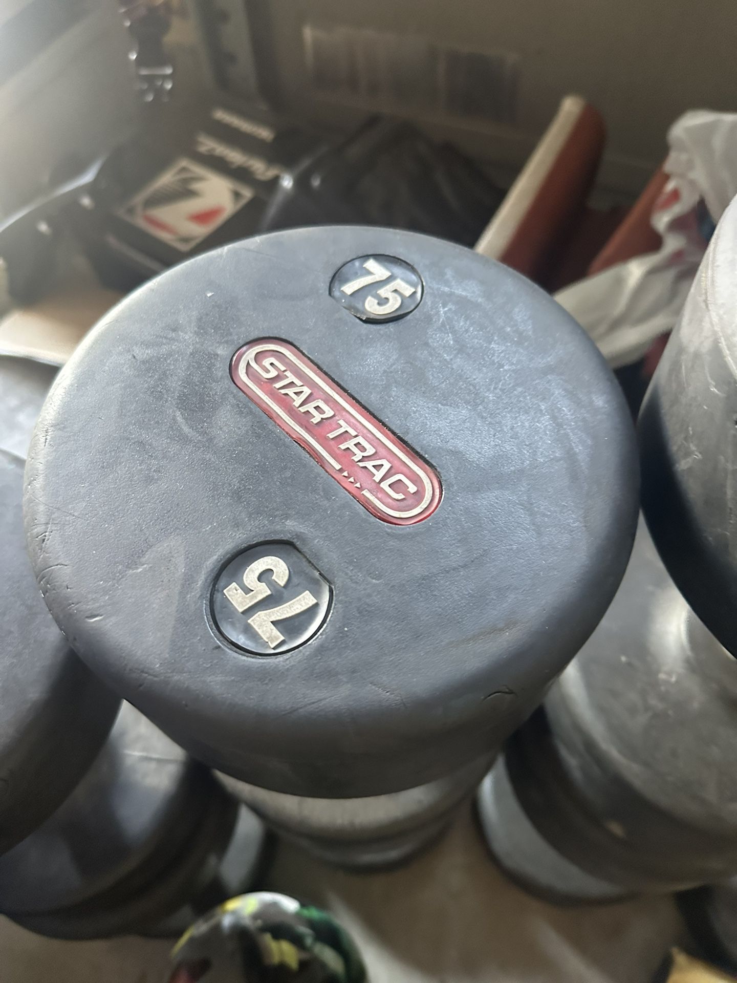 75 lb Star Trac Dumbbell – Commercial Quality