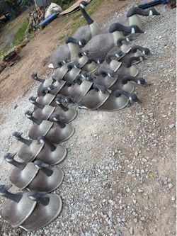 Geese decoys ducks unlimited
