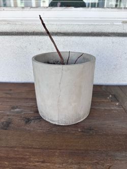 Cement Concrete Planter Pot