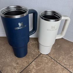 Stanley cups pair
