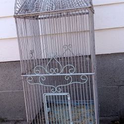 Bird Cage 