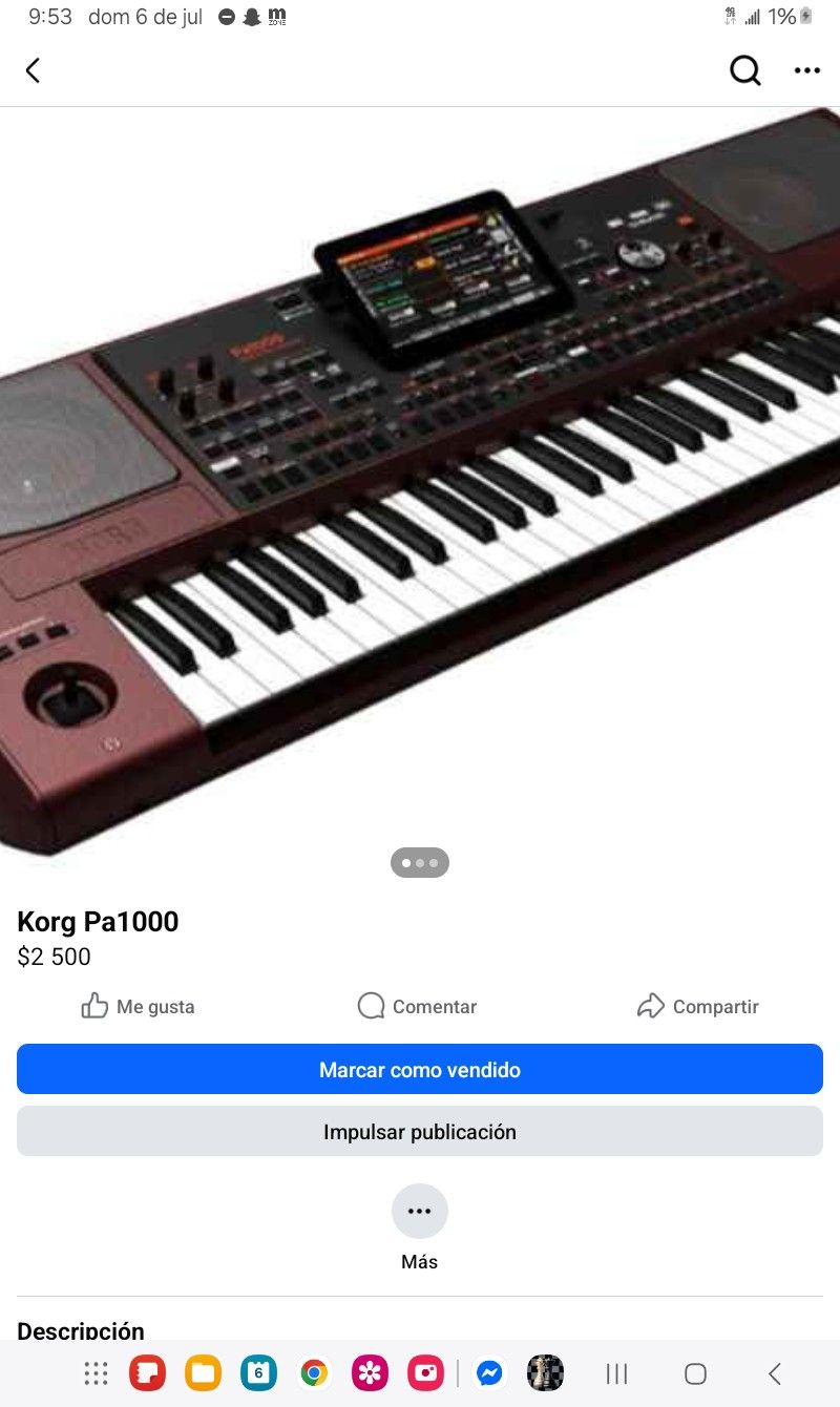 Korg Pa1000