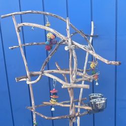 Parrot Perch Tree… Med Parrot Or Small parrot … Cool And Groovy Custom Perch Tree ! A Great Socializer!! Yess We Deliver !!