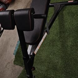 Bench Press 