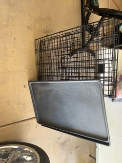 Kennel