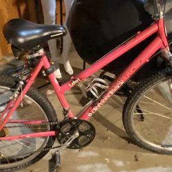 Diamondback Lustre 1 women's mountain bike