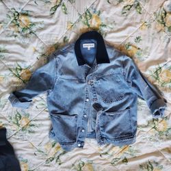 Denim Coat-Aritzia, Denim Forum