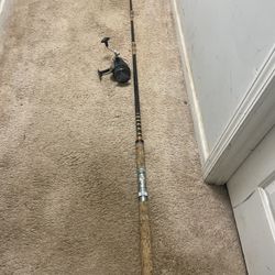 8ft Rod 