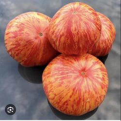 Wanted heirloom Tomatoes/Fruits