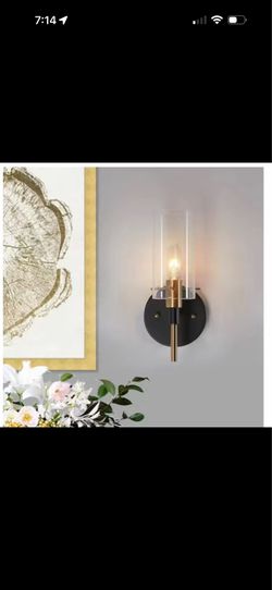 Zevni Modern 1-Light Black & Brass Gold Wall Sconce with Glass Cylinder Shade