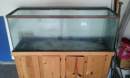 125 gallon Fish tank