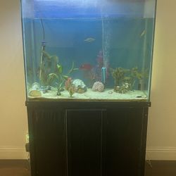 Fish Tank/aquarium 
