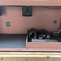 Reptile Enclosure 