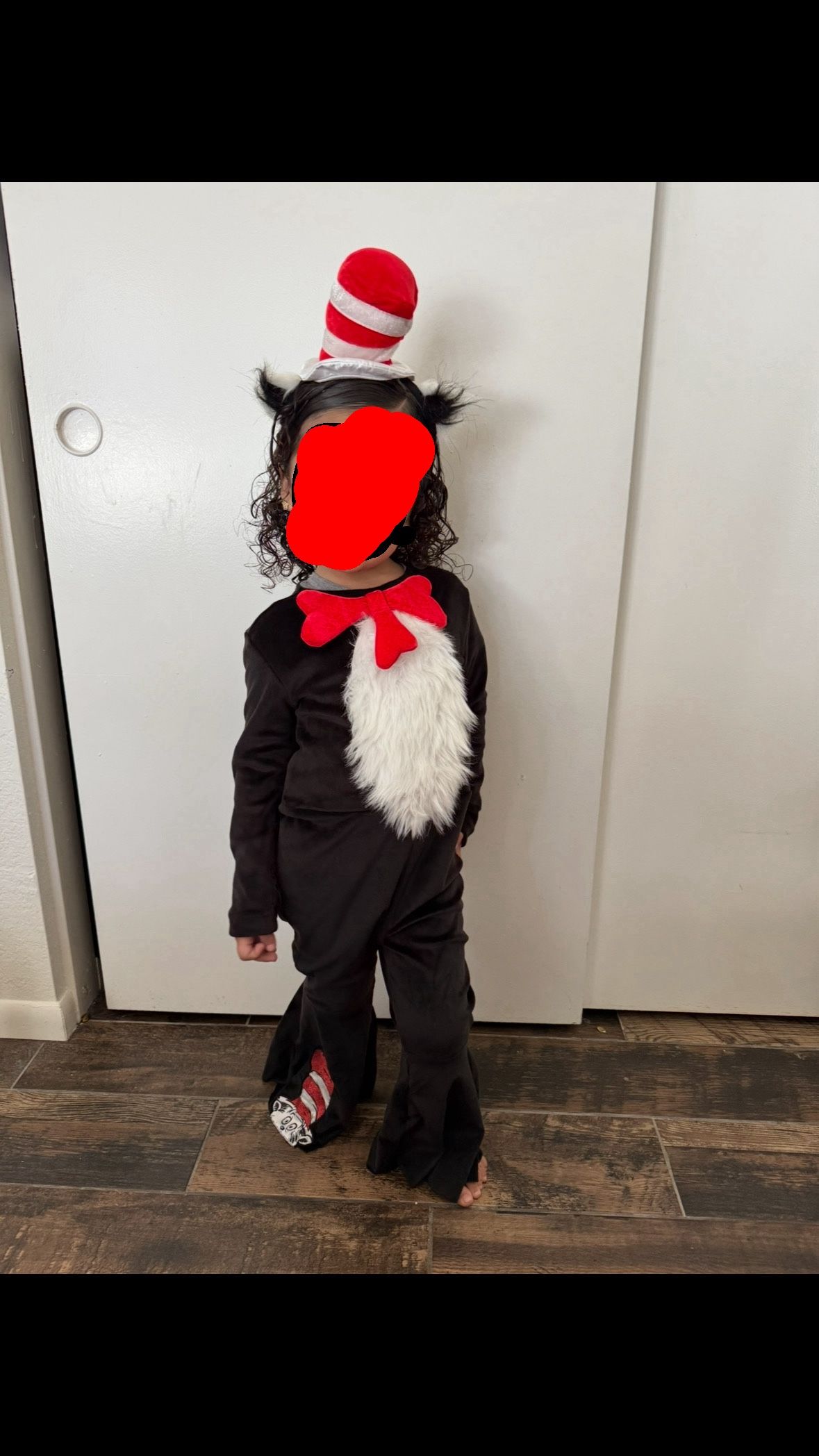 Cat In The Hat Toddler Costume 