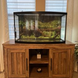 Tall 40 gallon aquarium with accesories