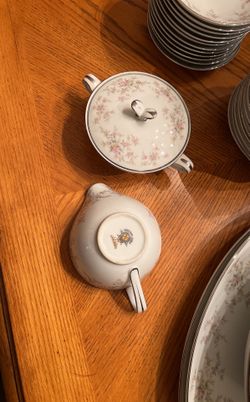 Vintage Noritake Arlene  Coral Porcelain With Platinum Trim