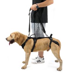 Large Dog Lift Support Harness with Leash