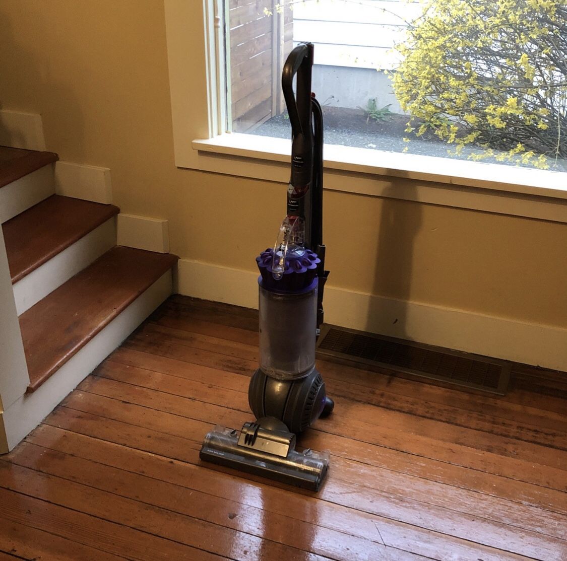 Dyson DC41 Upright Vacuum