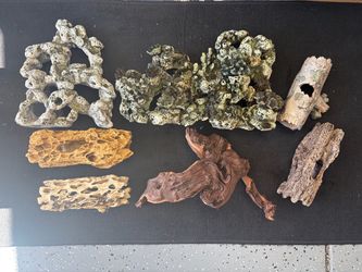 Fish structures and plants