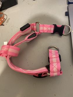 Light up Pink Medium dog harness
