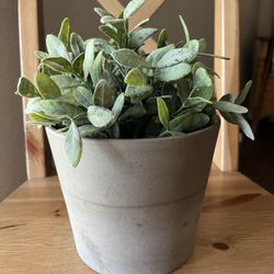 IKEA Faux Plant + Pot