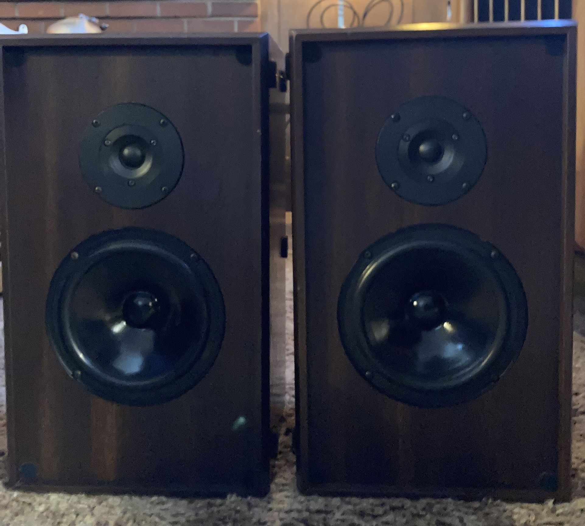 Pinnacle Book Shelf Speakers