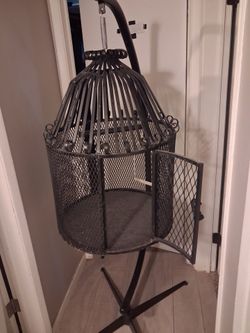 Perch 🦜 parrot bird stand