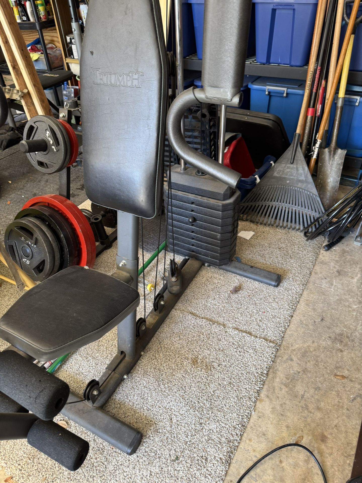 Triumph Home Workout Station