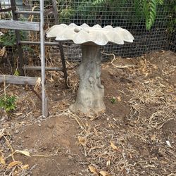 A bird bath