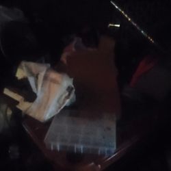 Stinger Sewing Machine