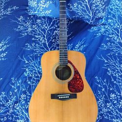 Yamaha Acoustic Guitar  