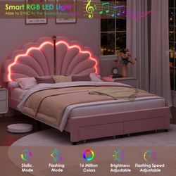 Full Upholstered LED Bed Frame with Storage Drawers, Velvet Princess Platform Bed with Adjustable Modern Shell Headboard, No Box Spring Nee