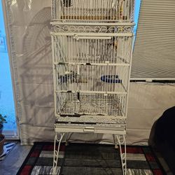 Parrot Cage