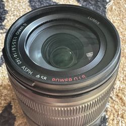 Panasonic LUMIX G Vario 14-140mm f/3.5-5.6 ASPH. POWER O.I.S. Lens