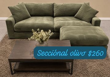Olive sectional Couch $280