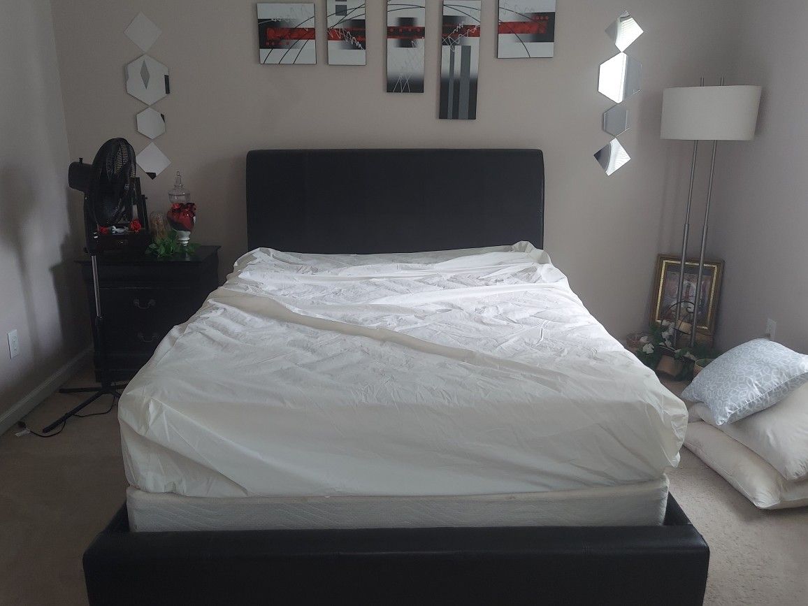 Moving Sale: Queen Bed Frame #2
