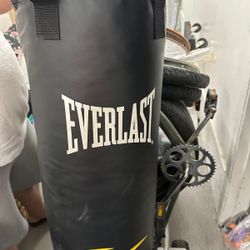 Everlast Kickboxing Bag