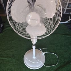 Standing Fan