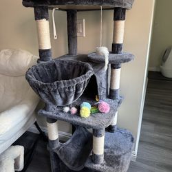 Large Cat House
